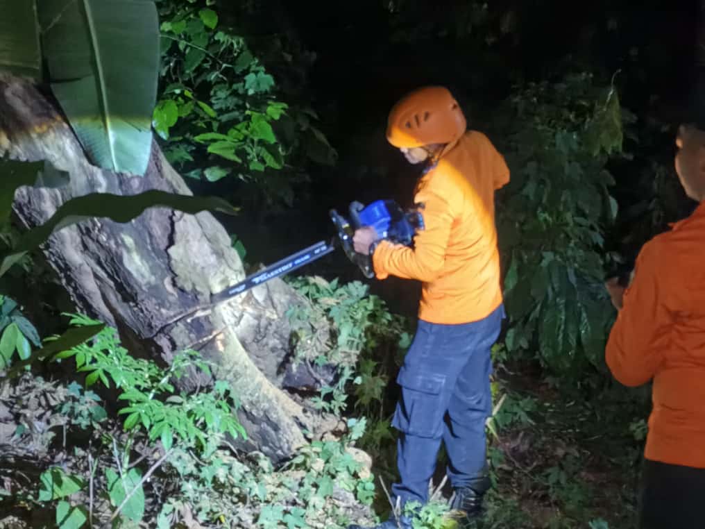 Pohon Tumbang Timpa Rumah Warga di Sukajadi, BPBD dan Damkarmat Lamsel Lakukan Evakuasi